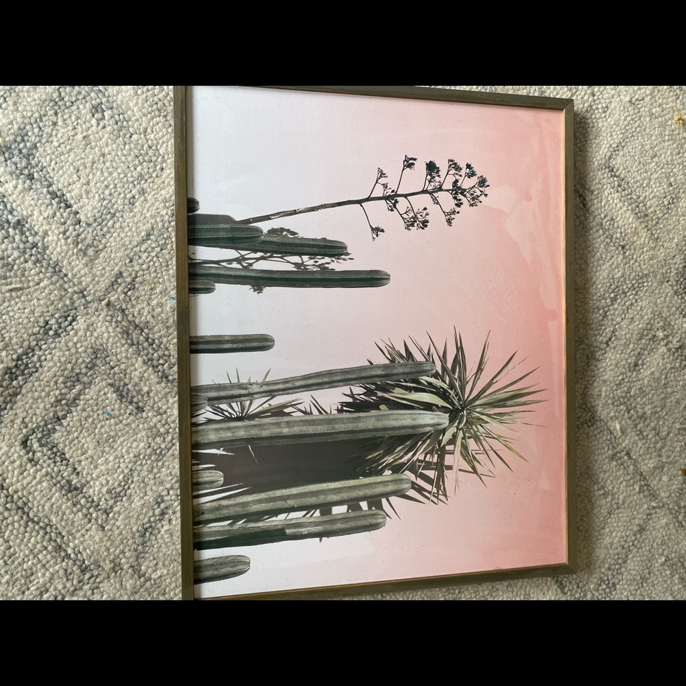 CACTUS DECOR